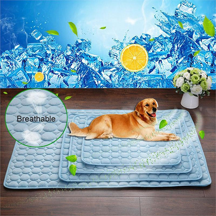Dog lying on a blue cooling pad 