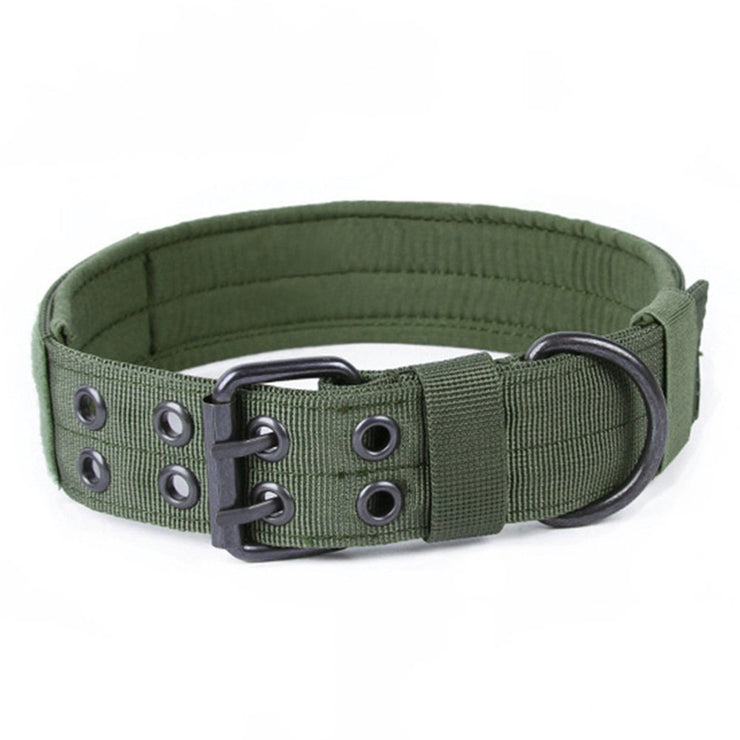 Durable nylon anti-grind dog collar with metal buckle