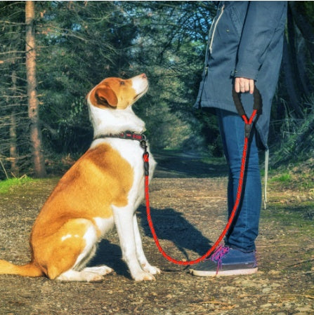 Strong reflective dog leash for small medium large dogs