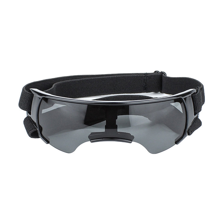 Stylish dog sunglasses for outdoor activities